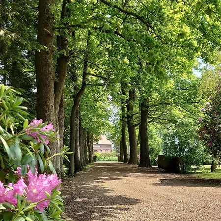 De Tuun - Luebbertsfehn