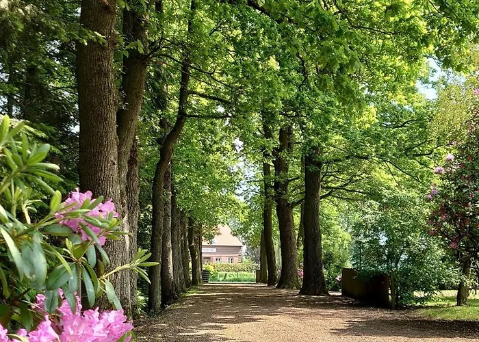 De Tuun - Luebbertsfehn